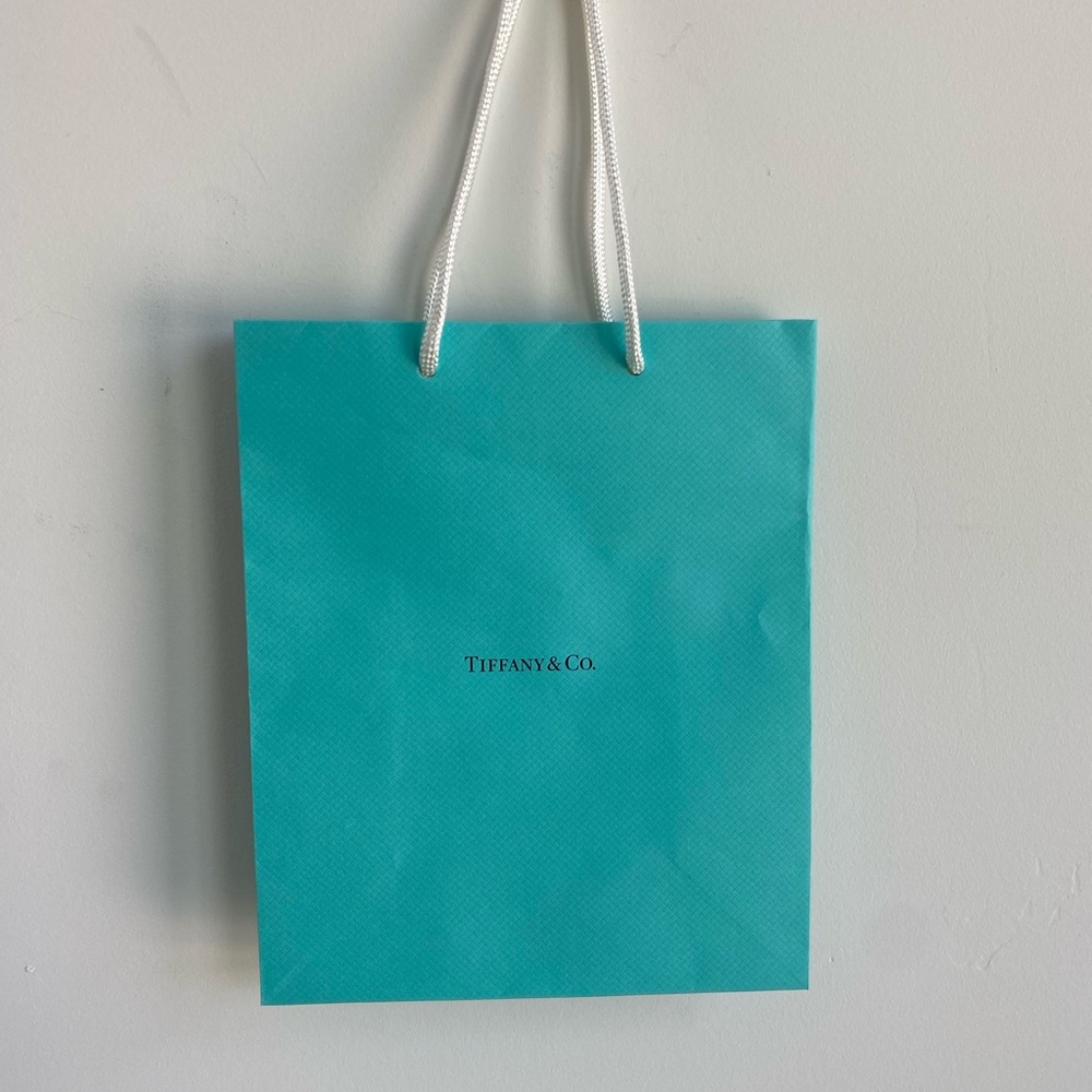 Tiffany & Co. Blue Gift Bag - Medium